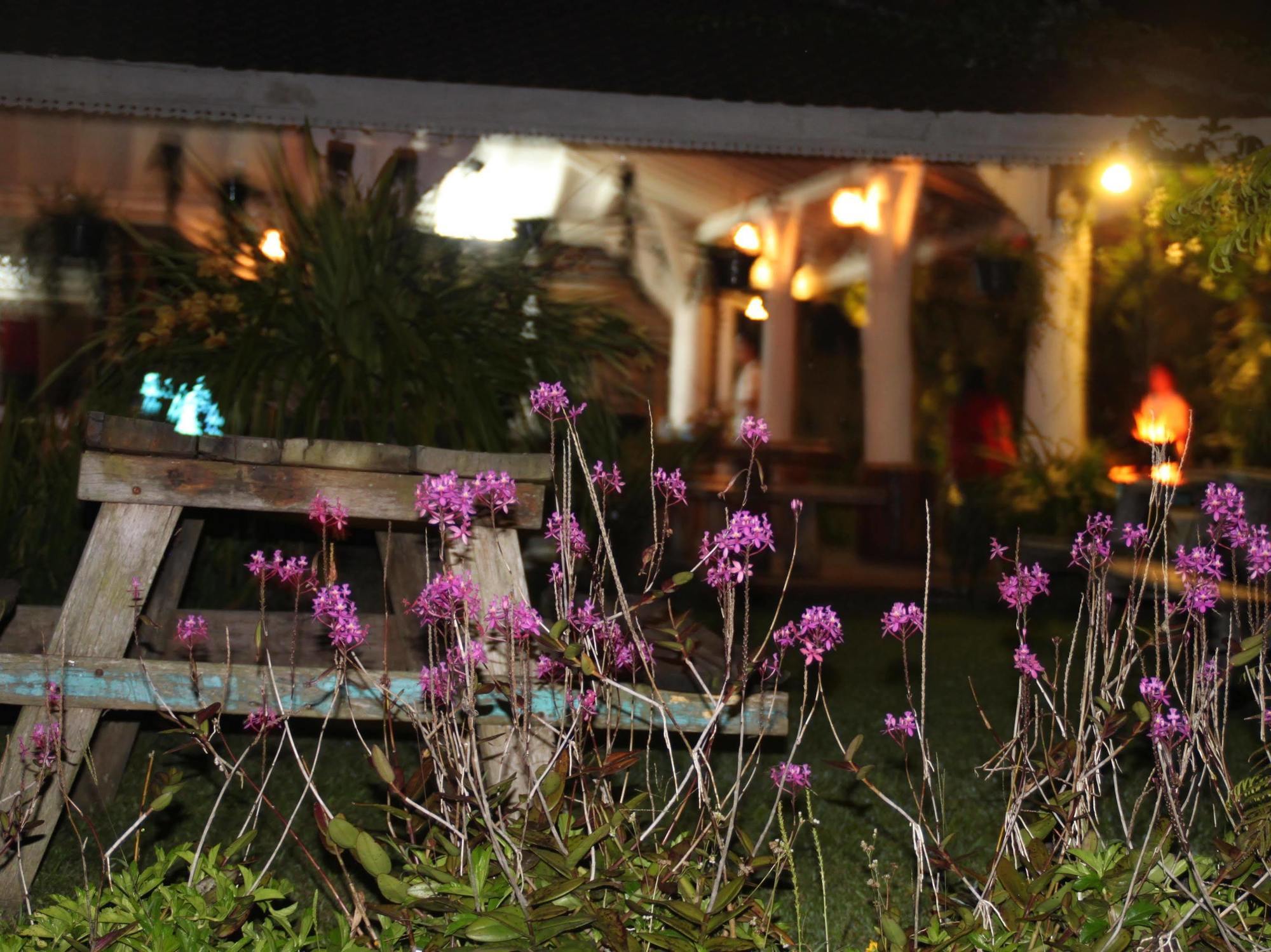 Warung Rekreasi Bedugul Hotel Kültér fotó
