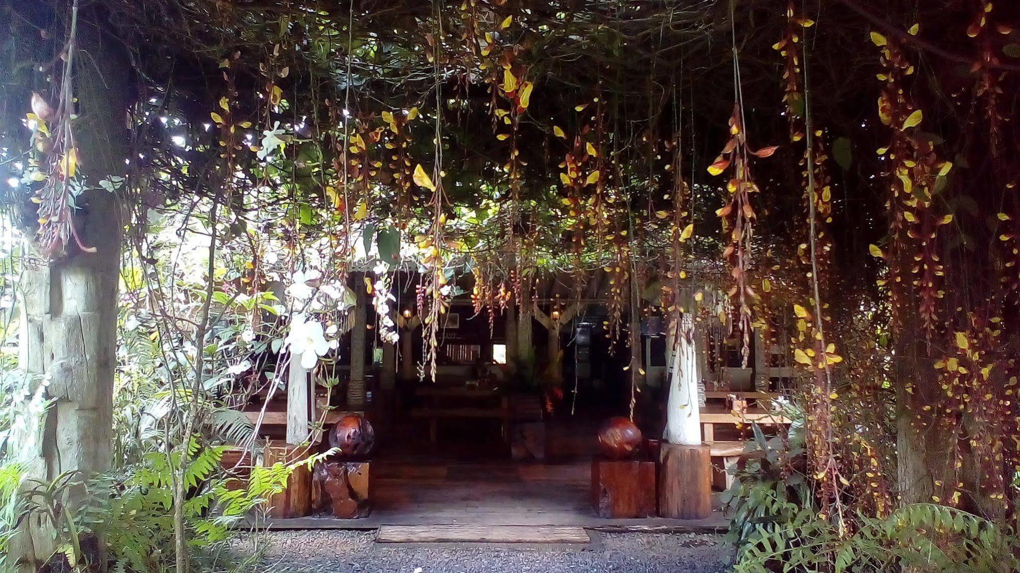 Warung Rekreasi Bedugul Hotel Kültér fotó