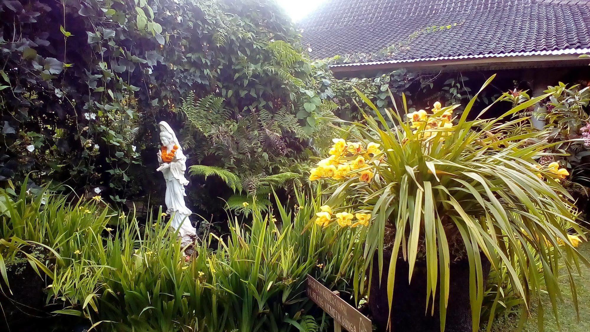 Warung Rekreasi Bedugul Hotel Kültér fotó